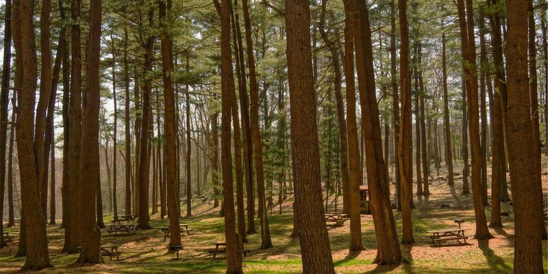 从氛围营造到情绪掌控：婚礼驻场DJ必备的电子音乐与现场表演核心技能