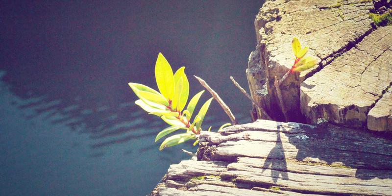 电子音乐混音实战指南:从Beatmatch基础到波西米亚风高级过渡技巧